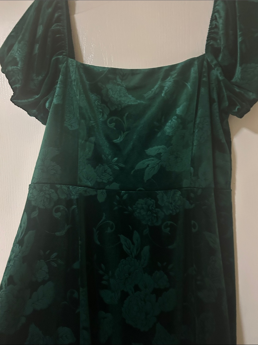 Francesca's Collections Emerald Green Floral Velvet Dress